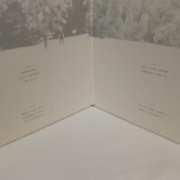 Julia Holter: Ekstasis 2LP - Image 3