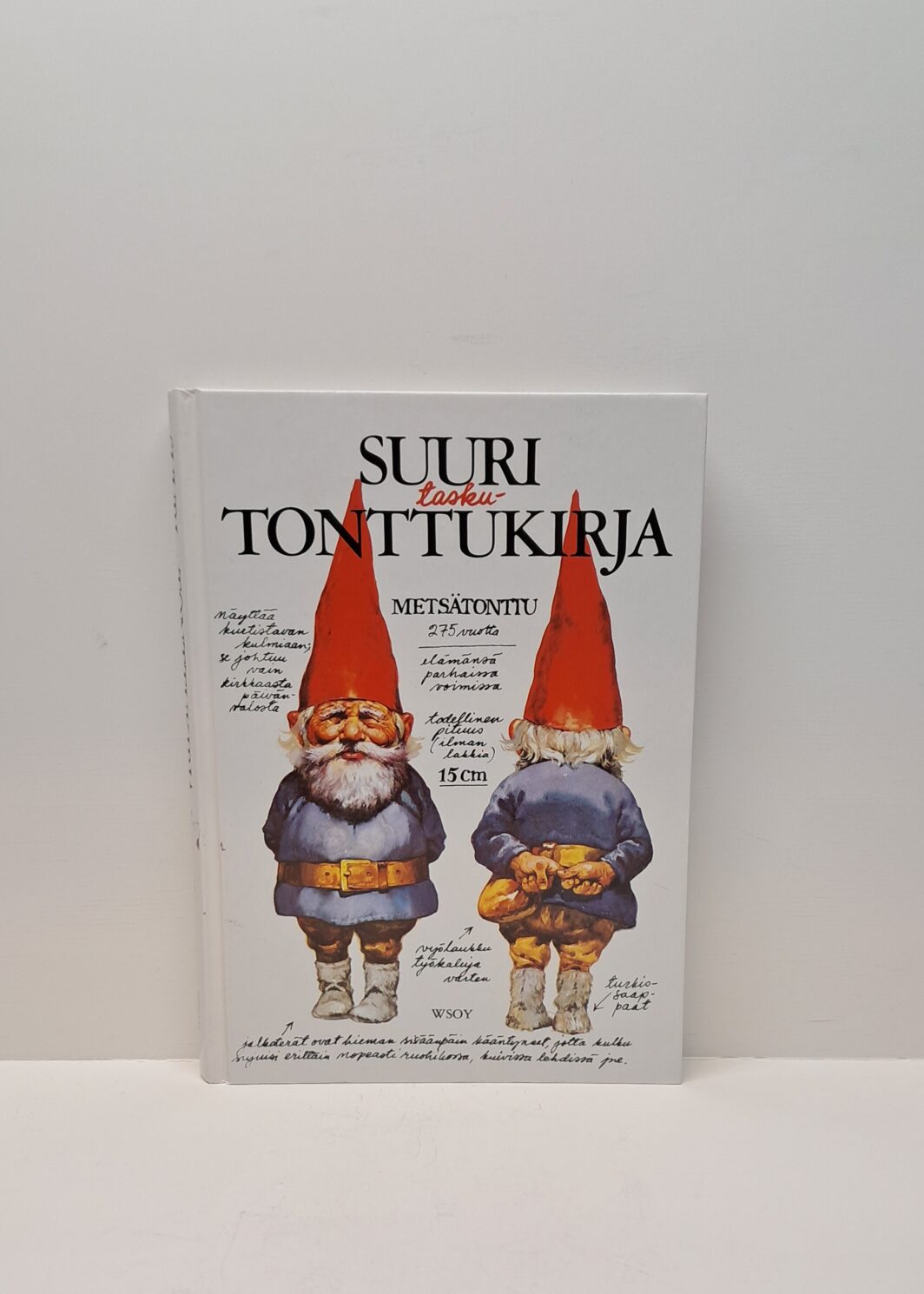 Suuri taskutonttukirja
